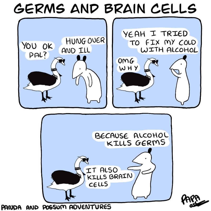 Panda And Possum Adventures- Webcomic