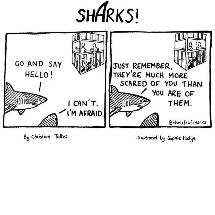 Here R My Comic Like Memes