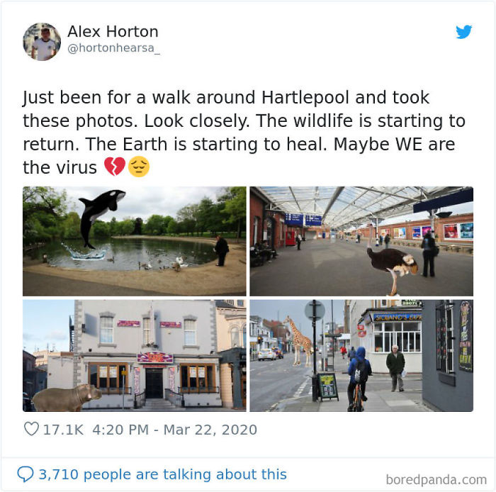 Nature-Healing-Quarantine-Jokes