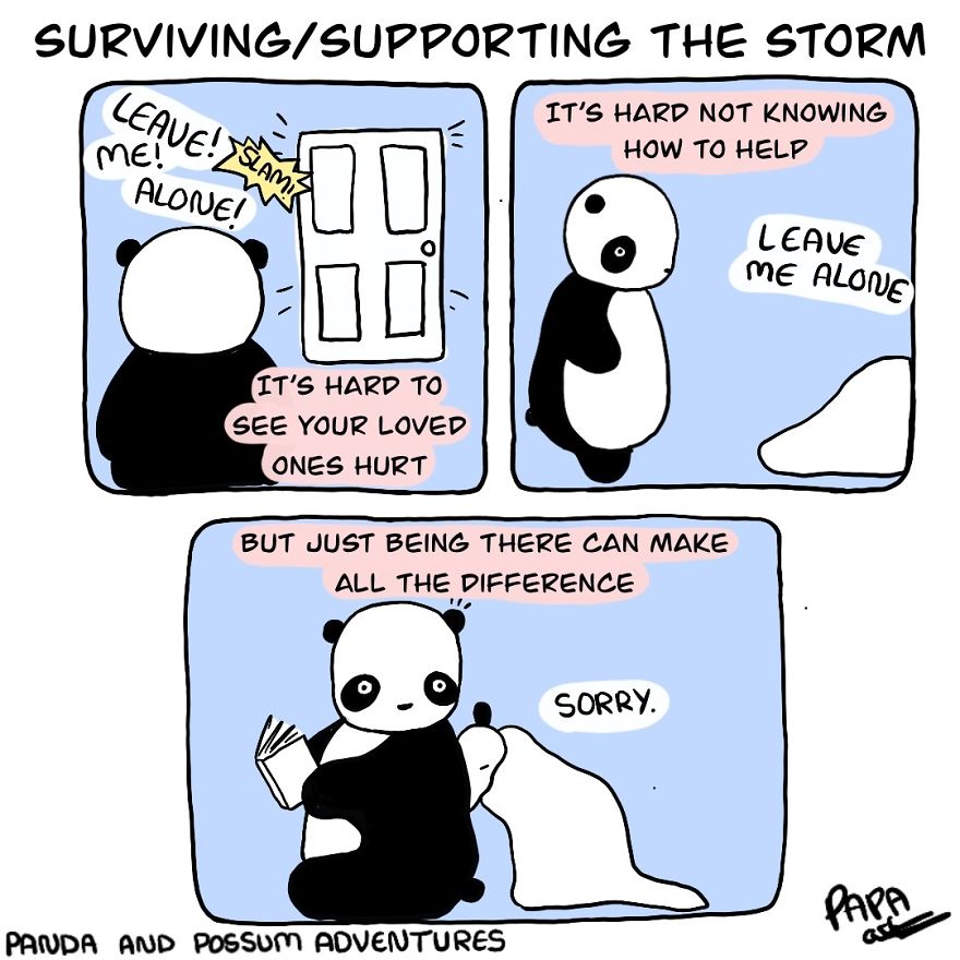 Panda And Possum Adventures- Webcomic