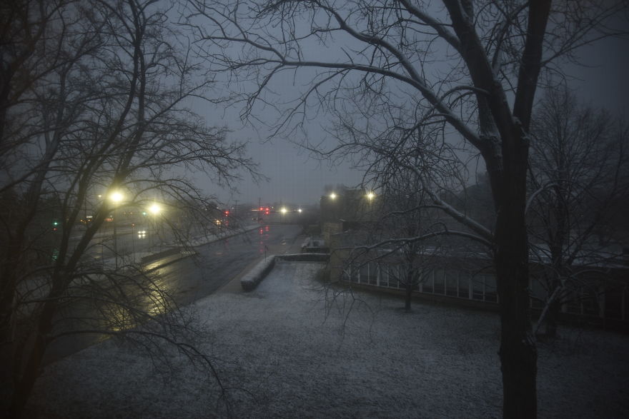 Taken By My Son From Skokie, Illinois