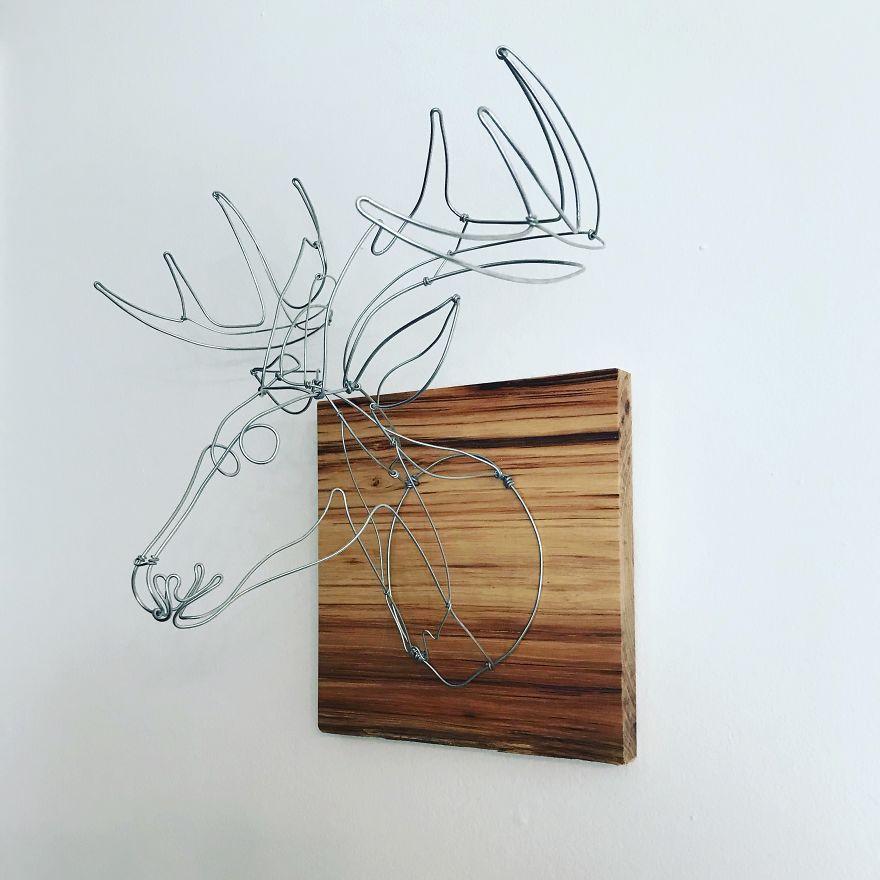 Duke, White Tail Deer