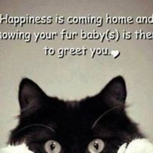 jackak10foritunes avatar