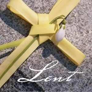 christinemburton1 avatar