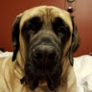 crazykiddrummerx avatar