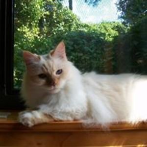 sandiwaters71 avatar