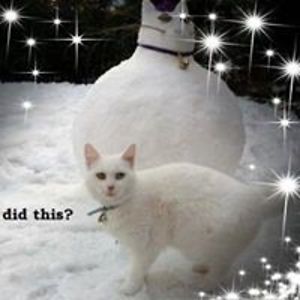 debbieadecker avatar