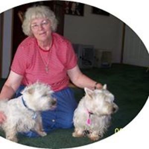 joycelenardson avatar