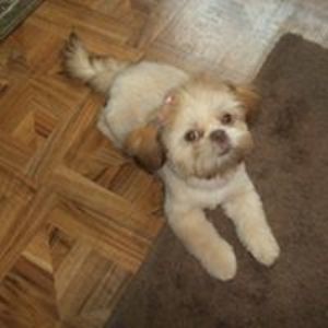 sealover12369 avatar