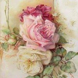 tiffanywaller2 avatar