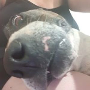 sarahsayswatevaz avatar