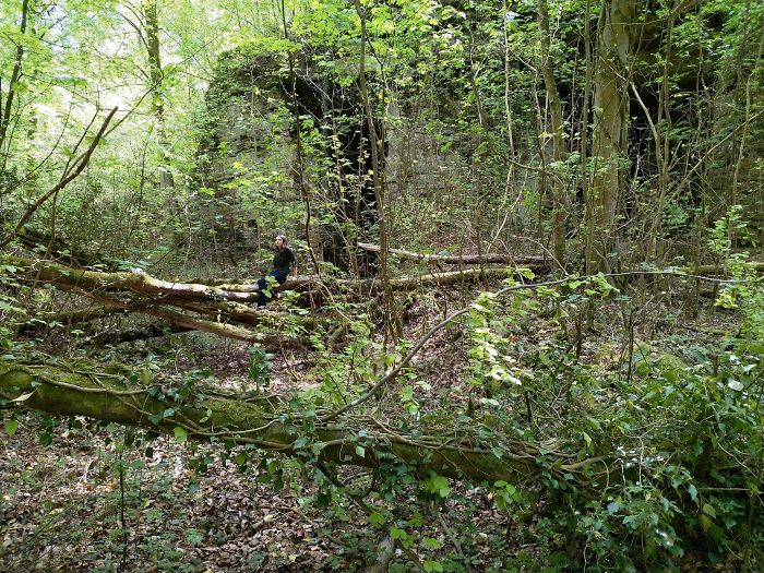 A Women Face Appeared Behind My Sister