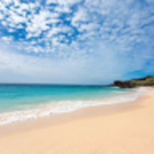 elliottecampbell avatar