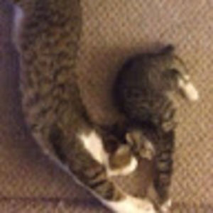 katerinapurkhiser avatar