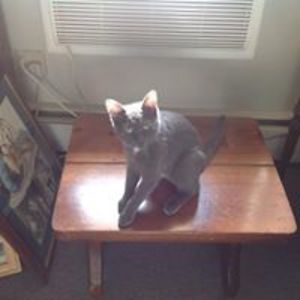 jcarusomt5252 avatar