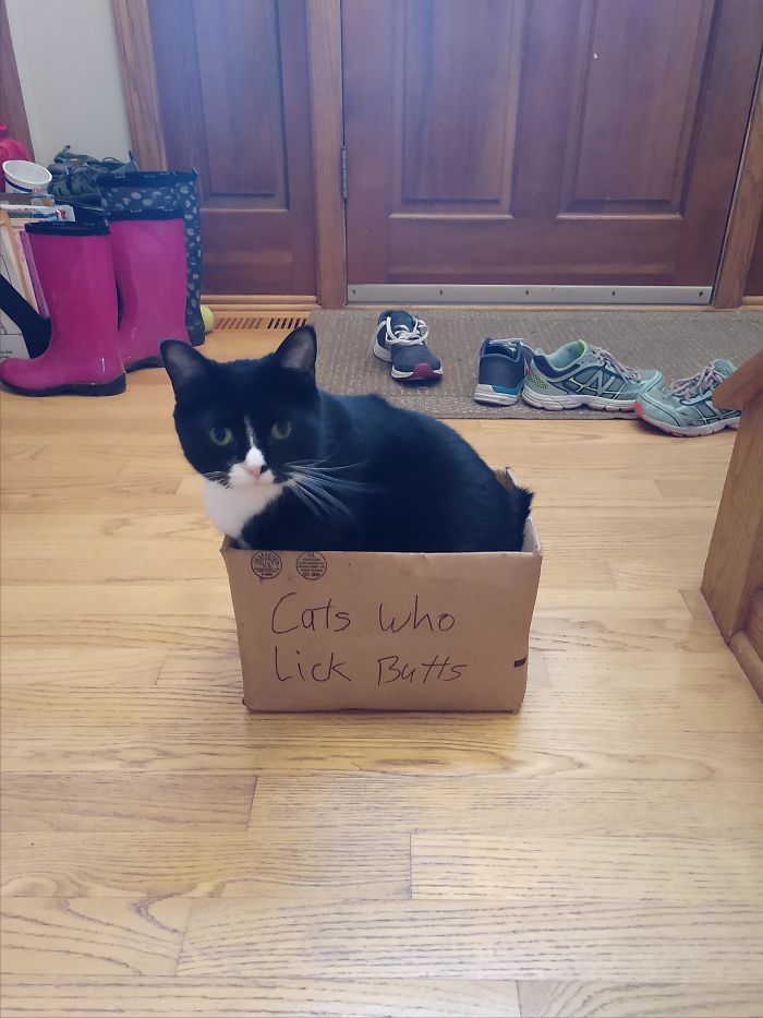 Sometimes They Deserve Their Shame