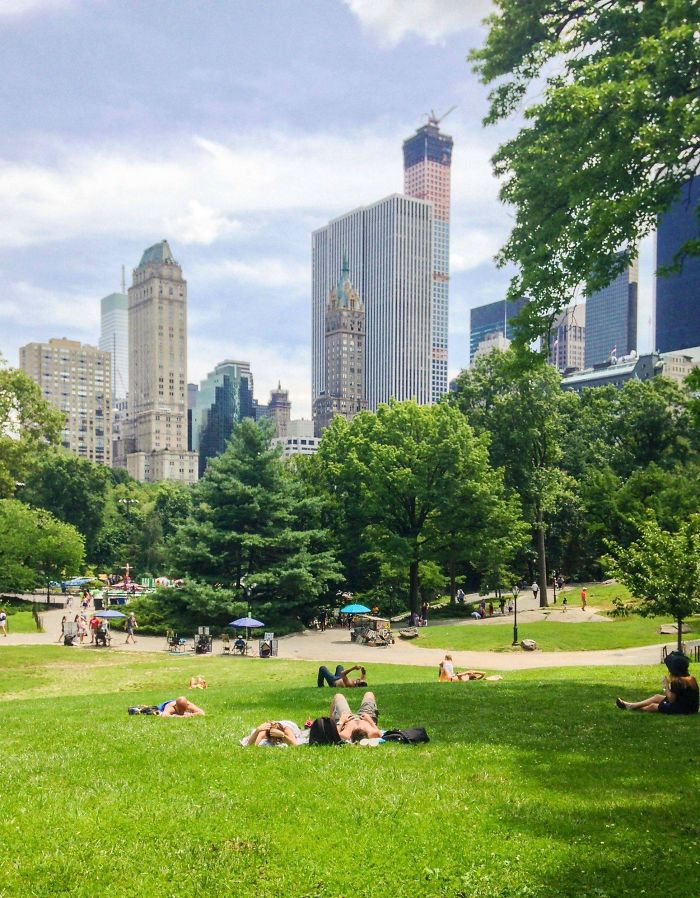 This Guy At The Park Looks Like No