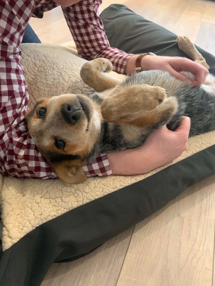 Adoption Day Snuggles!