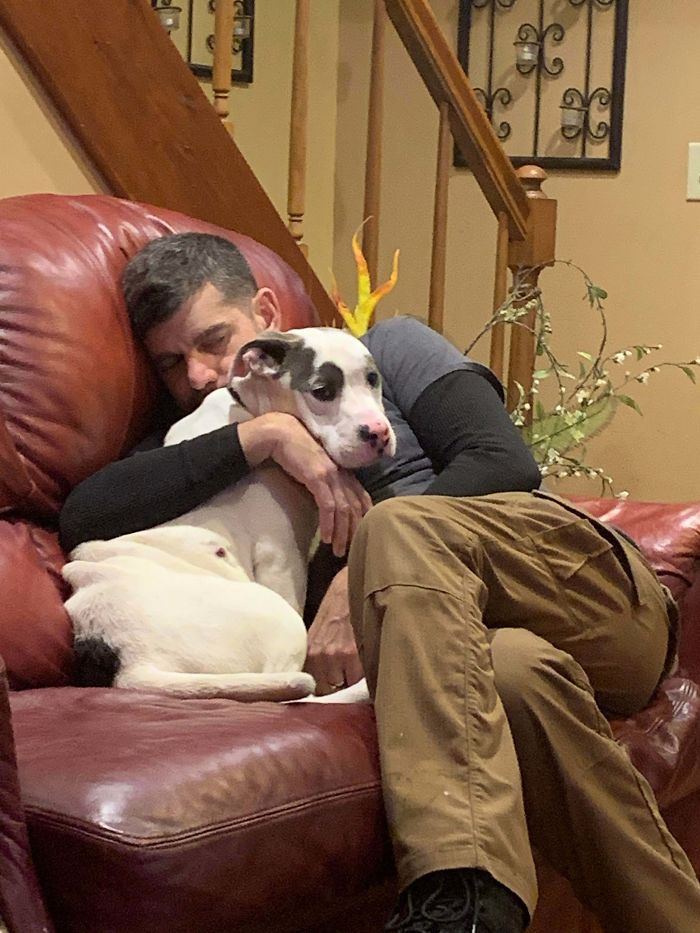 Rescued My First Pit Mix. I Have Always Wanted One. I Think My Husband Is Happy.