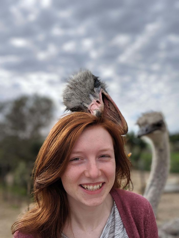 My Wife's First Ostrich Encounter