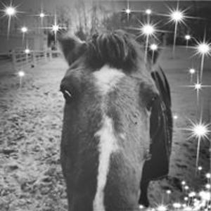 nicolemgolley avatar