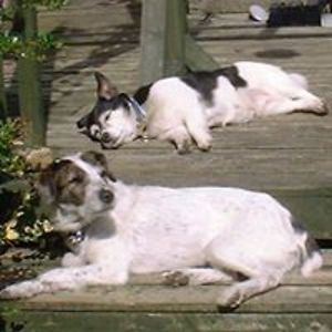 lindaclaxton56 avatar