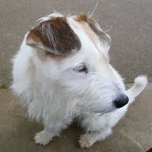 lorraine_weaver avatar