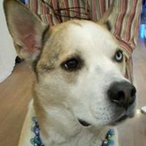 emgoodnight71 avatar