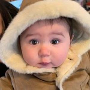 joywohlmanboyce avatar