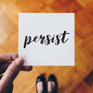 ferretsnstuff avatar