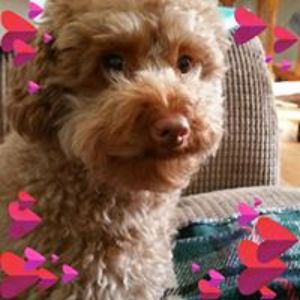 rosieintotnes avatar