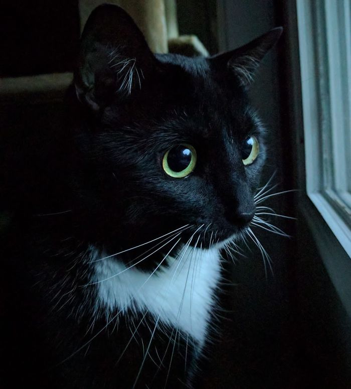 We Watched The Rain Together With The Lights Off