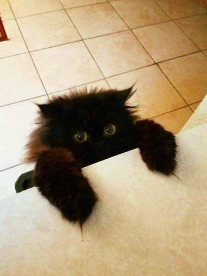 This Girl Can Have Anything She Might Ever Ask Me For. Forever