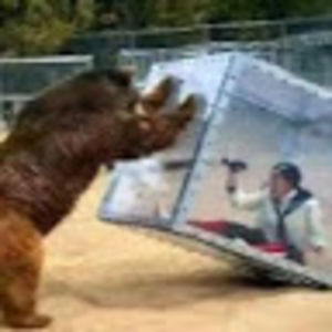 jessegerbrandt avatar