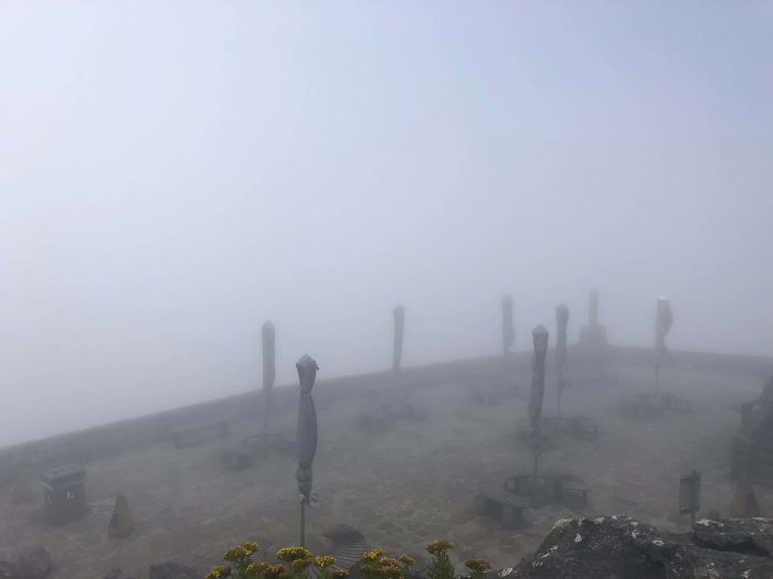 On Top Of Table Mountain After A 3 Hour Hike
