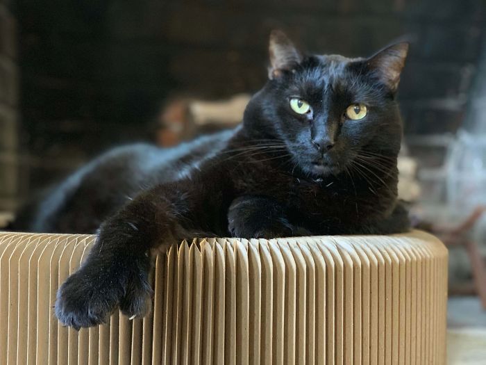 My Dude Ray Showing Off His Thumb