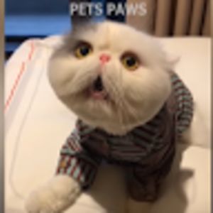 jackokwan07n15m avatar