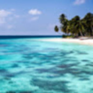 alexiaitaliano avatar