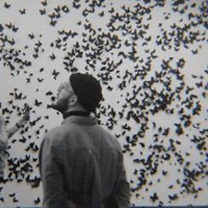 constantine_graphics avatar