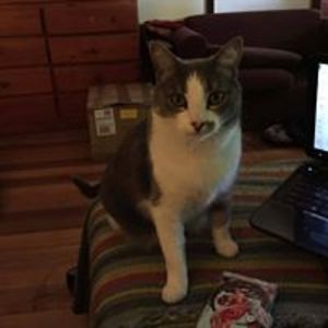 lesleygraham2 avatar