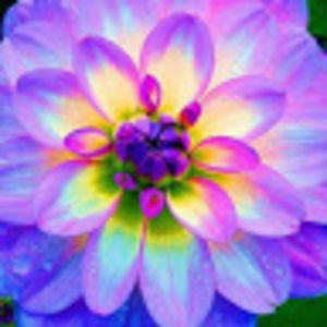 marymaritimes avatar