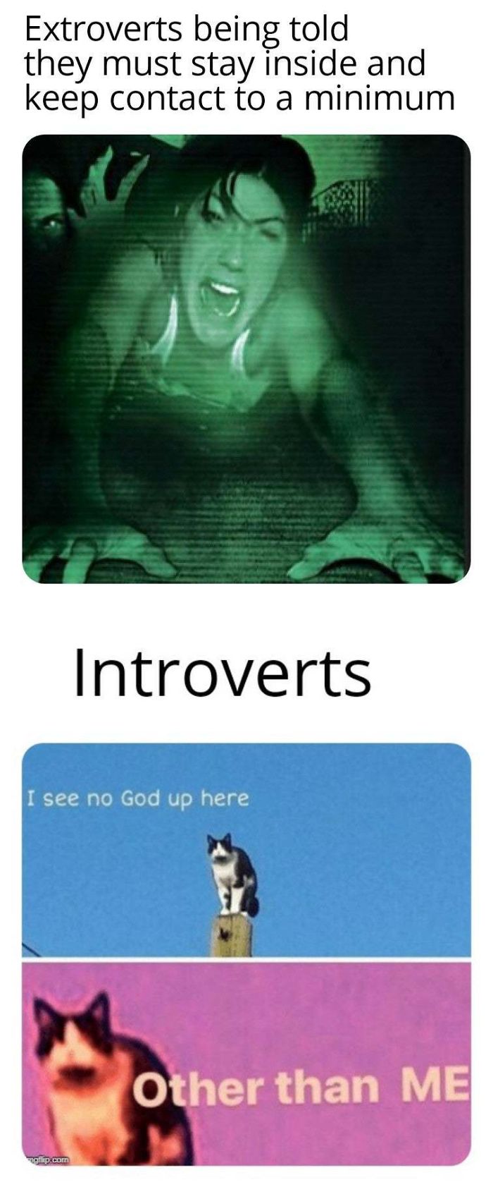 Quarantine-Coronavirus-Jokes-Memes