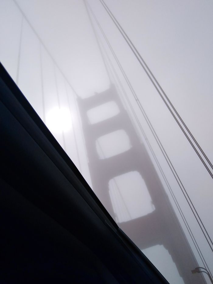 My Family Saved Up For A Once In A Lifetime Trip Around The Us. The Day We Went To The Golden Gate Bridge, This Happened