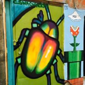 untamedsunshine avatar