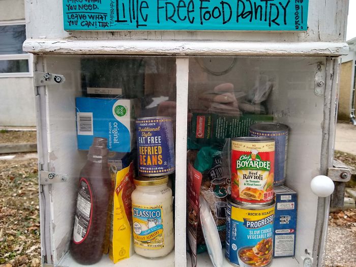 My Neighborhood Little Free Library Transformed Overnight