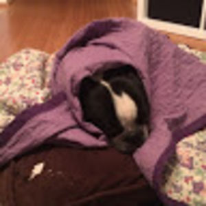 jenniferprzadka_1 avatar