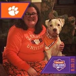 laurenaringel avatar