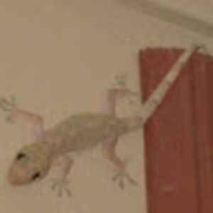 starfright8989 avatar