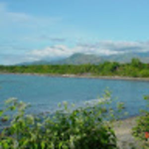 sleepwalker_1 avatar