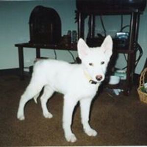 kristinjahlberg avatar